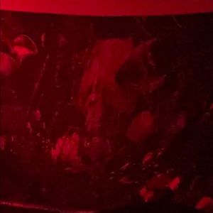 Meet your Posher, Saylor